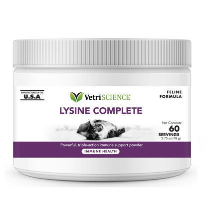 Picture of VetriScience Lysine Complete Triple Action Cat Lysine Powder with Scoop - 60 Servings - Immune Support Cat Supplements and Vitamins with L-Lysine and DMG for Immunity and Respiratory Health
