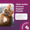 Picture of VetriScience Lysine Complete Triple Action Cat Lysine Powder with Scoop - 60 Servings - Immune Support Cat Supplements and Vitamins with L-Lysine and DMG for Immunity and Respiratory Health