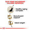 Picture of Royal Canin Breed Health Nutrition Dachshund Teckel 8+ Adult Dry Dog Food, 3 lb bag
