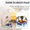 Picture of Super Design Mess Free 15° Slanted Bowl for Dogs and Cats, Tilted Angle Bulldog Bowl Pet Feeder, Non-Skid & Non-Spill, Easier to Reach Food