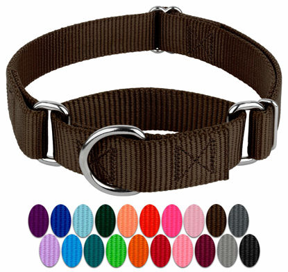 Picture of Country Brook Petz Martingale Dog Collar - Heavy-Duty Training Collar with No Buckle - Service Dog Collar for All Pups - Vibrant, Colorful Collection (Brown, 1 Inch, Medium)