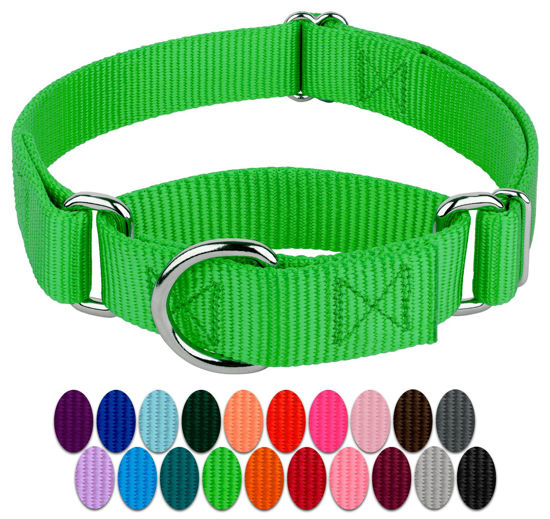 Picture of Country Brook Petz Martingale Dog Collar - Heavy-Duty Training Collar with No Buckle - Service Dog Collar for All Pups - Vibrant, Colorful Collection (Hot Green, 1 Inch, Large)