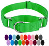 Picture of Country Brook Petz Martingale Dog Collar - Heavy-Duty Training Collar with No Buckle - Service Dog Collar for All Pups - Vibrant, Colorful Collection (Hot Green, 3/4 Inch, Small)
