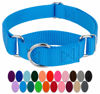 Picture of Country Brook Petz Martingale Dog Collar - Heavy-Duty Training Collar with No Buckle - Service Dog Collar for All Pups - Vibrant, Colorful Collection (Ice Blue, 1 Inch, Large)