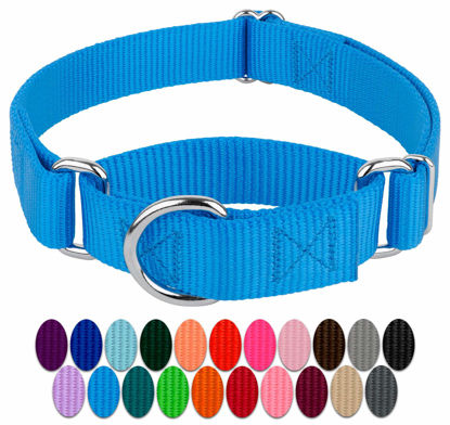 Picture of Country Brook Petz Martingale Dog Collar - Heavy-Duty Training Collar with No Buckle - Service Dog Collar for All Pups - Vibrant, Colorful Collection (Ice Blue, 1 Inch, Large)