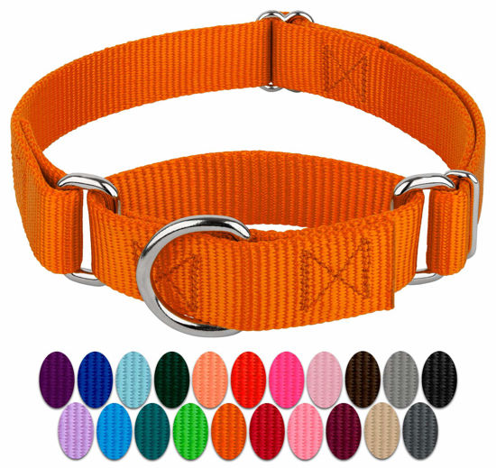 Picture of Country Brook Petz Martingale Dog Collar - Heavy-Duty Training Collar with No Buckle - Service Dog Collar for All Pups - Vibrant, Colorful Collection (Orange, 1 Inch, Extra Large)