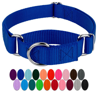 Picture of Country Brook Petz Martingale Dog Collar - Heavy-Duty Training Collar with No Buckle - Service Dog Collar for All Pups - Vibrant, Colorful Collection (Royal Blue, 1 Inch, Extra Large)
