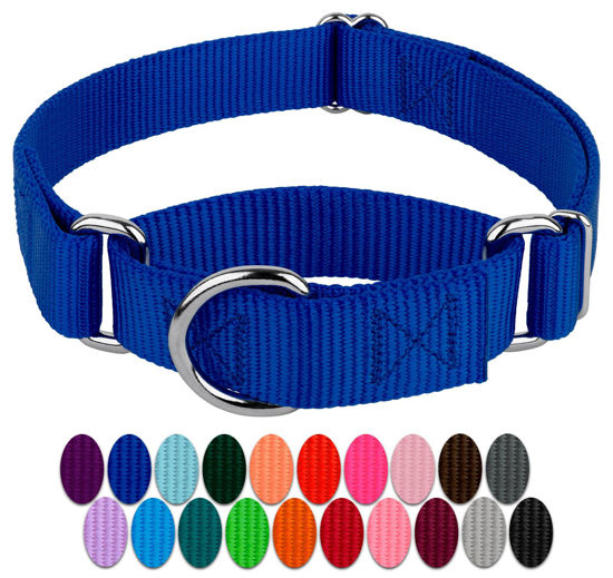 Picture of Country Brook Petz Martingale Dog Collar - Heavy-Duty Training Collar with No Buckle - Service Dog Collar for All Pups - Vibrant, Colorful Collection (Royal Blue, 1 Inch, Extra Large)