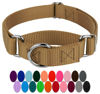 Picture of Country Brook Petz Martingale Dog Collar - Heavy-Duty Training Collar with No Buckle - Service Dog Collar for All Pups - Vibrant, Colorful Collection (Coyote Tan, 3/4 Inch, Small)