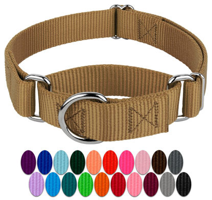 Picture of Country Brook Petz Martingale Dog Collar - Heavy-Duty Training Collar with No Buckle - Service Dog Collar for All Pups - Vibrant, Colorful Collection (Coyote Tan, 3/4 Inch, Small)