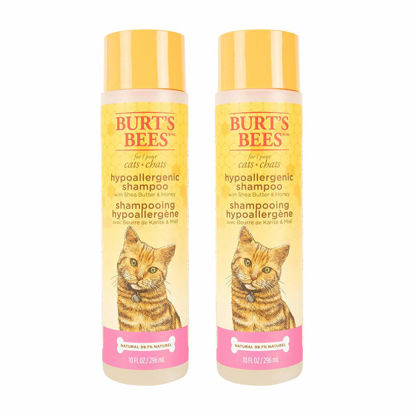 Picture of Burt's Bees for Pets Hypoallergenic Shampoo for Cats with Shea Butter and Honey, 2pk, 99.7% Natural Origin Formulas, Pet Shampoo for Cats, Gentle Cat Shampoo, Cat Shampoo for Itchy Skin, 2pk, 10 oz