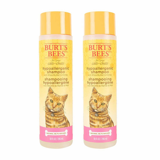 Picture of Burt's Bees for Pets Hypoallergenic Shampoo for Cats with Shea Butter and Honey, 2pk, 99.7% Natural Origin Formulas, Pet Shampoo for Cats, Gentle Cat Shampoo, Cat Shampoo for Itchy Skin, 2pk, 10 oz