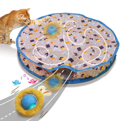 Picture of Giociv Interactive Cat Toys Ball Fast Rolling in Pouch, Motion Activate Chirping Cat Toy Hide and Seek Mouse Catching Game (Blue)