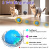 Picture of Giociv Interactive Cat Toys Ball Fast Rolling in Pouch, Motion Activate Chirping Cat Toy Hide and Seek Mouse Catching Game (Blue)