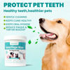 Picture of MEDUWEDU Dental Care Finger Wipes 60 Counts,Teeth Cleaning Finger Wipes for Dogs & Cats,Reduces Plaque & Supports Oral Freshness, Mint Scent