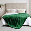 Picture of Yaning Waterproof Blanket for Bed Couch Sofa, Soft Liquid Pee Proof Pet Blanket for Dog Puppy Cat, Reversible Sherpa Fleece Blanket for Furniture Protector (Green, 60x80 inches)