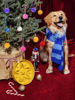 Picture of LE TAUCI Dog Bowls Slow Feeder Ceramic, 1.5 Cups Slow Feeding Dog Bowl Small Medium Breed, Puppy Slow Feeder Bow for Fast Eaters, Dog Dishes to Slow Down Eating, Puzzle Dog Food Bowl, Star Yellow