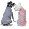 Picture of KYEESE 2Pack Dog Sweater Soft Dog Clothes Warm Dachshund Clothes Turtleneck Dog Coats Stretchy Dog Sweatshirt Dog Sweaters for Small Dogs Girl Pullover Small Dog Sweaters