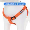 Picture of Pawtitas Solid Color Step in Dog Harness or Vest Harness Dog Training Walking of Your Puppy Harness Small Dog Harness Orange Dog Harness