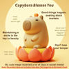 Picture of FAMIDUO Tangerine Capybara Cute Night Light, LED Squishy Novelty Animal Night Lamp, 2 Levels Dimmable Nursery Bedroom Nightlight for Kids, Rechargeable Touch Lamp, Dorm Decor, Baby Boys Girls Gifts