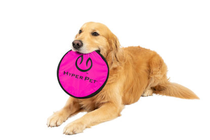 Picture of Hyper Pet Flippy Flopper Dog Frisbee Interactive Dog Toys [Flying Disc Dog Fetch Toy - Floats in Water & Safe on Teeth] (Colors Will Vary), Multicolor, 9"