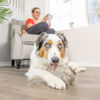 Picture of Hyper Pet Doggie Tail Interactive Plush Dog Toys (Wiggles, Vibrates, and Barks, Stimulating Play)