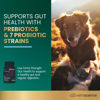 Picture of VetriScience Extra Strength Gut Health Capsules, Probiotic & Prebiotic Digestive Supplement for Dogs & Cats, Digestion Support, Gas & Diarrhea, Immune Support, 7.5 Billion CFU Per Capsule, 180 Count