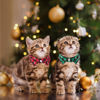 Picture of ADOGGYGO Christmas Cat Collars Breakaway with Bow Tie Bell, 2 Pack Xmas Cat Formal Tuxedo Collar with Removable Shirt Collar, Red Green Plaid Cat Christmas Collars for Cats (7.5"- 10.5", Shirt Collar)
