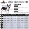 Picture of Queenmore Small Dog Sweaters, Soft Fleece Vest Pullover Dog Jacket with Leash Hole, Warm Winter Dog Clothes Cold Weather Doggy Dachshund Sweater for Small Dogs Cats Boy or Girl (Black, S)