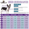Picture of Queenmore XXL Dog Sweater, Soft Fleece Vest Pullover Dog Jacket with Leash Hole, Warm Winter Dog Clothes Cold Weather Doggy Dachshund Sweaters for Large Dogs Cats Boy or Girl (Lavender, XXL)