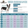 Picture of Queenmore XL Dog Sweaters, Soft Fleece Vest Pullover Dog Jacket with Leash Hole, Warm Winter Dog Clothes Cold Weather Doggy Dachshund Sweater for Large Dogs Cats Boy or Girl (Peacock-Blue, XL)