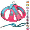 Picture of AIITLE Step in Dog Harness and Leash Set - Dog Vest Harness with Super Breathable Mesh, Reflective No-Pull Pet Harness for Outdoor Walking, Training for Small Dogs, Cats Hot Pink XXS