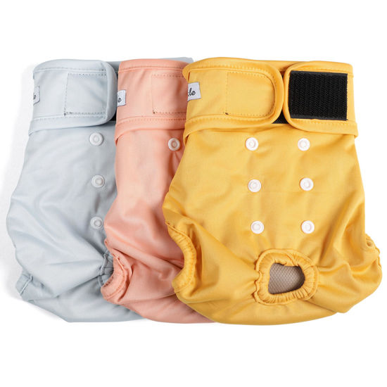 Picture of Female Dog Diapers - Premium Reusable Diapers for Doggie in Heat - Highly Absorbent Dog Diapers Female for Pet Incontinence with Adjustable Snaps Yellow, XXL