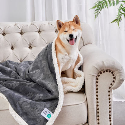 Picture of Qeils Dog Blankets for Small Dogs - Waterproof Cat Blanket Washable - Sherpa Fleece Puppy Blanket, Soft Plush Reversible Throw Protector for Bed Couch Car Sofa, 30"X40", Dark Grey