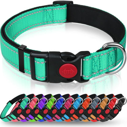 Picture of Taglory Reflective Dog Collar with Safety Locking Buckle, Adjustable Nylon Pet Collars for Small Dogs Female Male, S, Turquoise