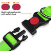 Picture of Taglory Reflective Dog Collar with Safety Locking Buckle, Adjustable Nylon Pet Collars for Extra Large Dogs Female Male, Green, XL