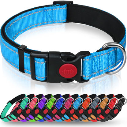 Picture of Taglory Reflective Dog Collar with Safety Locking Buckle, Adjustable Nylon Padded Pet Collars for Medium Dogs, SkyBlue