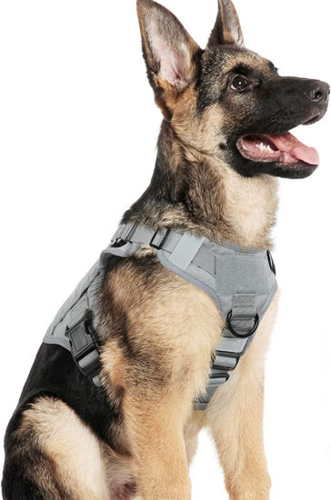 Picture of rabbitgoo Tactical Dog Harness for Large Dogs, Heavy Duty Dog Harness with Handle, No-Pull Service Dog Vest Large Breed, Adjustable Military Dog Vest Harness for Training Hunting Walking, Grey, L