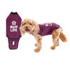Picture of BellyGuard Recovery Suit for Dogs, After Surgery Dog Recovery Suit Female and Male, Soft Cotton Dog Surgery Suit Female Spay, Dog Surgical Recovery Suit Male Neuter, Comfy Surgical Onesie for Dogs.
