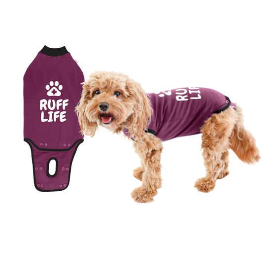 Picture of BellyGuard Recovery Suit for Dogs, After Surgery Dog Recovery Suit Female and Male, Soft Cotton Dog Surgery Suit Female Spay, Dog Surgical Recovery Suit Male Neuter, Comfy Surgical Onesie for Dogs.