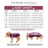 Picture of BellyGuard Recovery Suit for Dogs, After Surgery Dog Recovery Suit Female and Male, Soft Cotton Dog Surgery Suit Female Spay, Dog Surgical Recovery Suit Male Neuter, Comfy Surgical Onesie for Dogs.