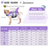 Picture of Queenmore Dog Life Jacket,Dog Life Vest for Swimming,Dog Shark Life Jacket with Rescue Handle,Adjustable Reflective Dog Life Preserver for Medium Dog,Purple M