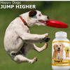 Picture of Amazing Omega 3 Fish Oil for Dogs - Omega 3 for Dogs Shedding and Itchy Skin Relief for Dog Dry Skin and Hot Spots, EPA and DHA Fatty Acids, Dog Skin and Coat Supplement - 120 Salmon Flavor Chews