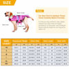 Picture of Queenmore Dog Life Jacket Ripstop Shark Dog Safety Vest Adjustable Preserver with High Buoyancy and Durable Rescue Handle for Small,Medium,Large Dogs, Pink Fish Small
