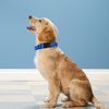 Picture of PWOD Reflective Dog Collar, Adjustable Soft Neoprene Padded Nylon Pet Collars with Buckle for Large Dogs, Navy Blue,L