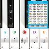 Picture of Piano Keyboard Stickers with Piano Chord Chart Poster, Removable Colorful Piano Keyboard Note Labels for 88/61/54/49 Key, Transparent Large Bold Letter Piano Stickers for Beginners