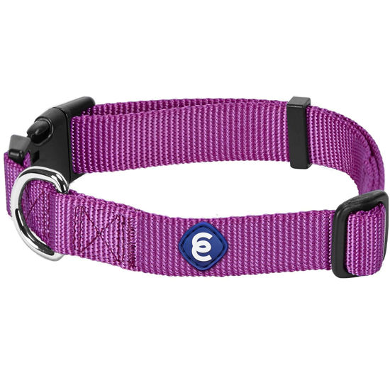 Picture of Blueberry Pet Essentials 21 Colors Classic Dog Collar, Violet, Large, Neck 18"-26", Collars for Dogs