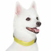 Picture of Blueberry Pet Essentials Reflective Back to Basics Adjustable Dog Collar, Yellow, Large, Neck 18"-26"