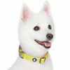 Picture of Blueberry Pet Essentials Reflective Back to Basics Adjustable Dog Collar, Yellow, Large, Neck 18"-26"