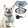 Picture of PUPTECK Soft Mesh Dog Harness and Leash Set Pet Puppy Cat Comfort Padded Vest No Pull Harnesses, Sky Blue, XS